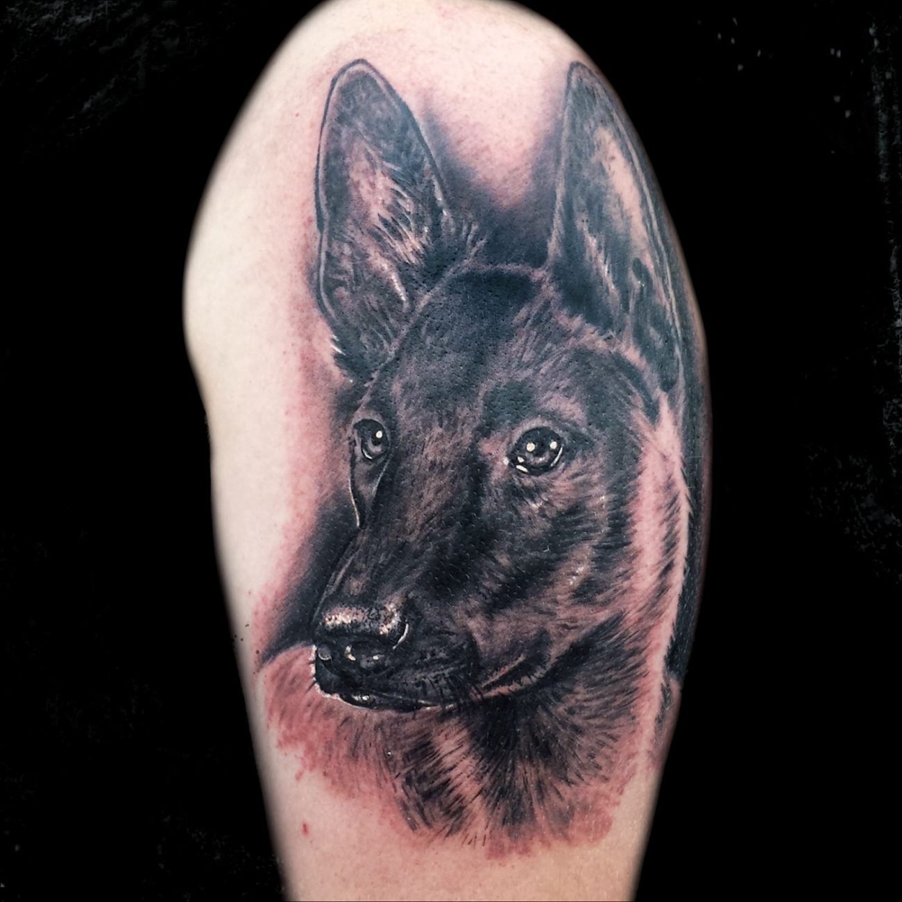 tatuaje retrato perro