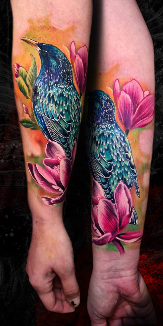 colibrí