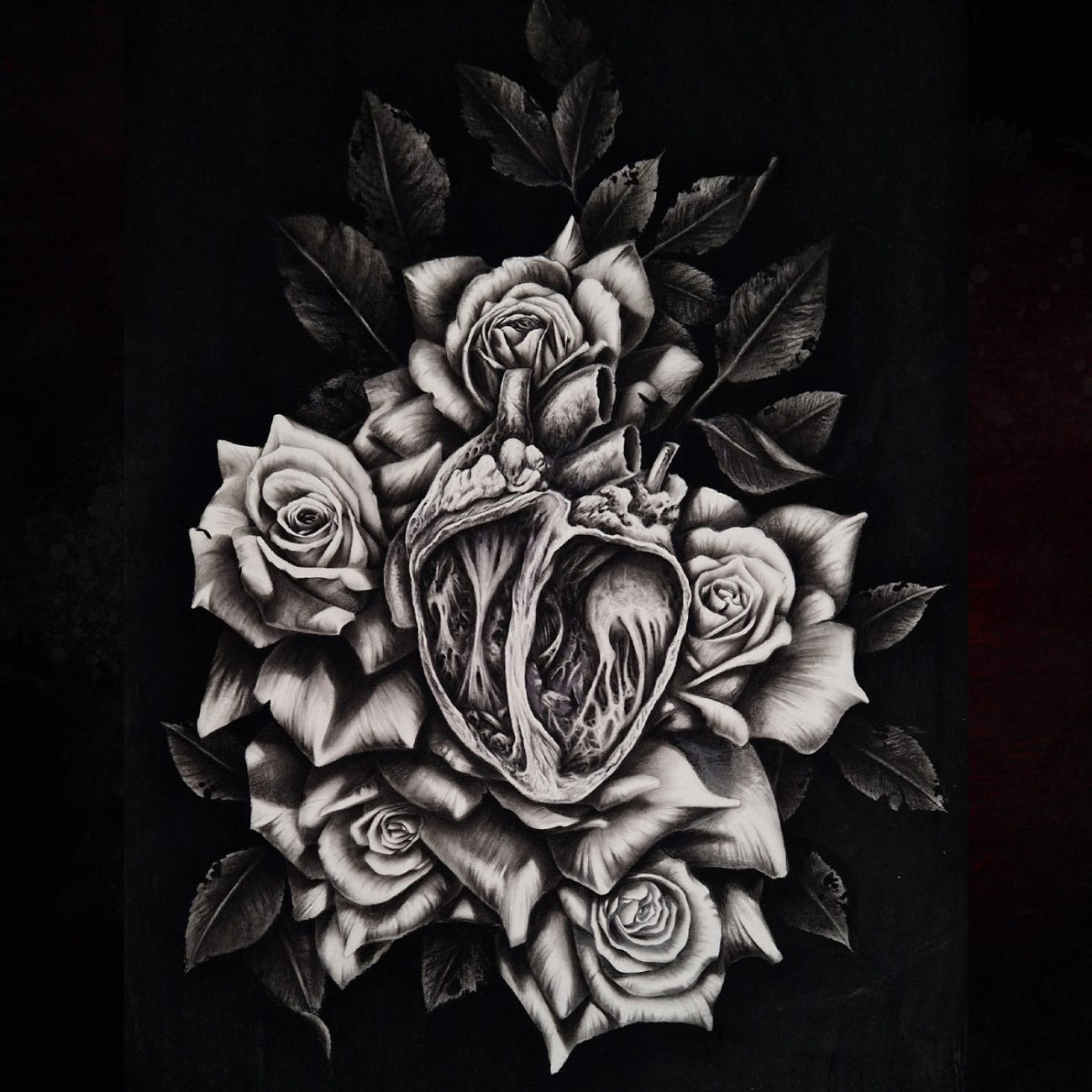 dibucorazon