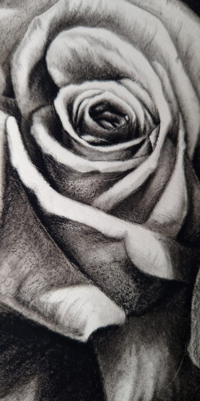dibucorazon3
